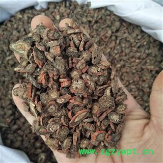 安祁名药无硫丹参  紫丹参 各种规格齐全图2