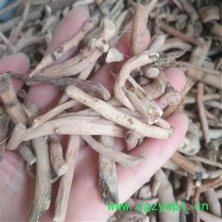 安祁名药白芍 无硫小统货图2