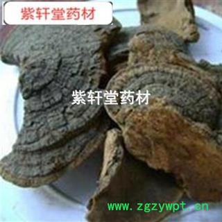 槐耳 桑黄 别称 槐耳 猢狲眼 桑耳 桑臣 槐肉 桑黄菇  产地 黑龙江省图2