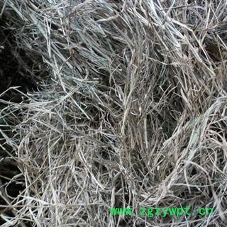 铁线草 统货 产地 四川省成都市双流县图2