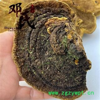 桑黄500g 西藏金边桑树桑黄灵芝散装零售 中药材批发 量大从优图2