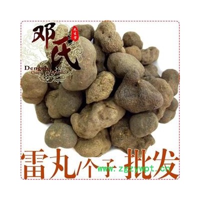 雷丸个子统货1公斤起批散装批发产地直供邓氏中药材批发