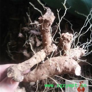 【现刨 】黄姜 2019秦岭野生盾叶薯蓣 自刨无硫 天然无添加 非姜黄【打折已结束】图3