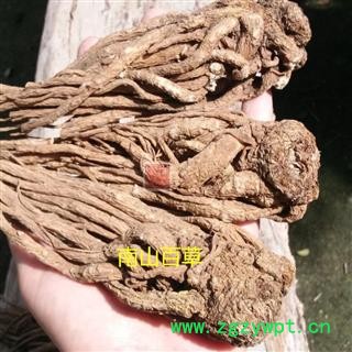 全当归 秦岭地产当归个子 日晒干净500g图4