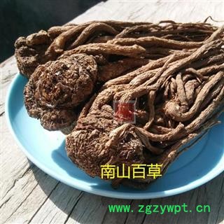 全当归 秦岭地产当归个子 日晒干净500g图2