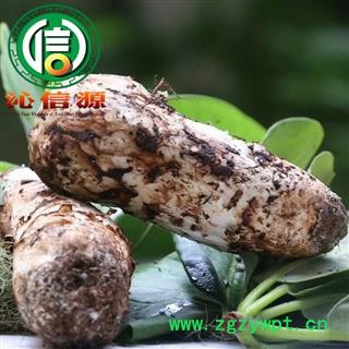 【顺丰包邮】新鲜松茸规格齐全现货特价批发带包装3~5cm、7~9cm、9~12cm、12~15cm冰袋冷藏沁信源中药材批发图3