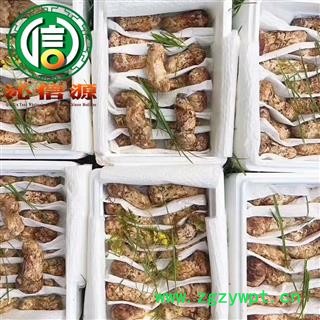 【顺丰包邮】新鲜松茸规格齐全现货特价批发带包装3~5cm、7~9cm、9~12cm、12~15cm冰袋冷藏沁信源中药材批发图2