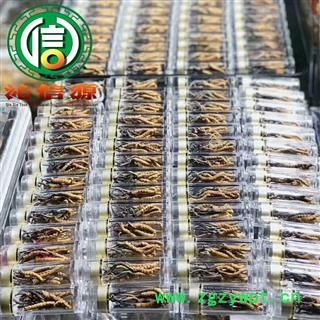 【满包邮】干虫草4000条 平均0.25~0.27克每条 散装产地直供冬虫夏草沁信源中药批发图4