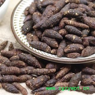 生香附500g 秦岭优质香附  香头草雀头香熟香附 制香附  另有侧柏叶图3