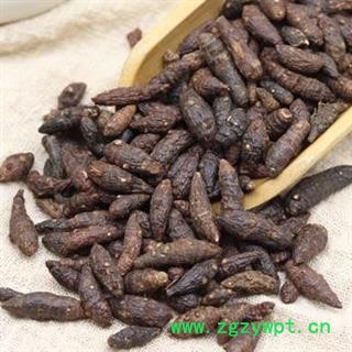 生香附500g 秦岭优质香附  香头草雀头香熟香附 制香附  另有侧柏叶图2