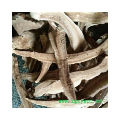 灵芝 统货 产地 山东省