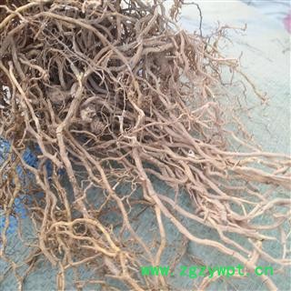 安祁名药牛尾菜 鞭鞘子菜 草菝葜 鞭杆菜图2