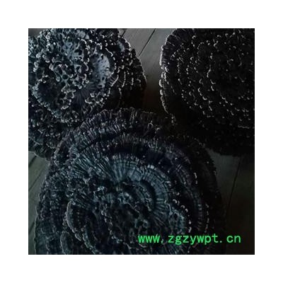 新辉药业中药材灵芝  大黑花灵芝 另有红花灵芝