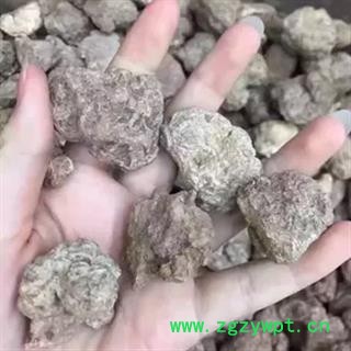 新辉药业正品野生藏灵芝 虎乳灵芝图3