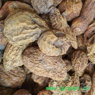 安祁名药藏药金果榄 青牛胆图2