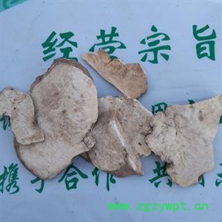 安祁名药中药材白药子  点白药子图2