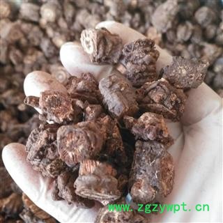 安祁名药正品羌活 优质够含量图2