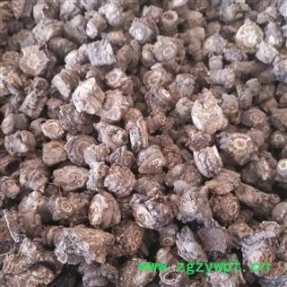 安祁名药正品羌活 优质够含量图3