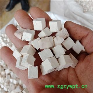 丽丽药业 净500克 茯苓精品白丁 中药材批发 保证实图拍照7天无理由退货退款图3