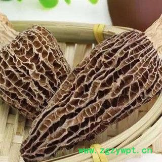 羊肚菌 纯野生羊肚菌全干货 正品保证质量7天无理由退货退款 中药材批发 丽丽药业图2