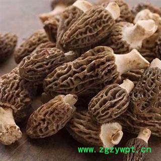 羊肚菌 纯野生羊肚菌全干货 正品保证质量7天无理由退货退款 中药材批发 丽丽药业图3