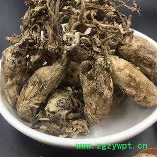 金蝉花统货正品保证质量7天无理由退货退款 中药材批发 丽丽药业图4