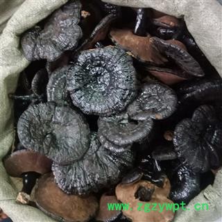 紫灵芝 实图拍照正品保证质量7天无理由退货退款 安品堂图4