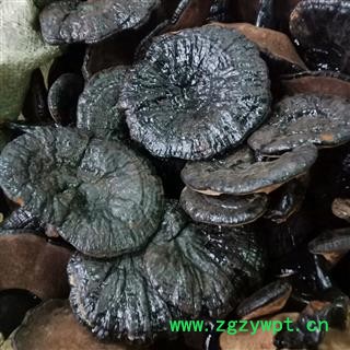 紫灵芝 实图拍照正品保证质量7天无理由退货退款 安品堂图2