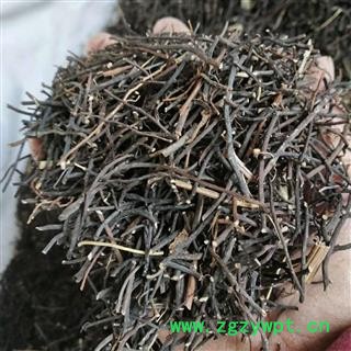 安祁名药正品东北威灵仙 优质选货图2