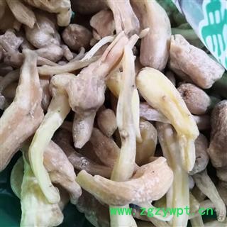 安祁名药鹅参 四川峨眉参 峨参 土白芷 胡萝卜七 水田七图2