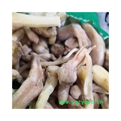 安祁名药鹅参 四川峨眉参 峨参 土白芷 胡萝卜七 水田七