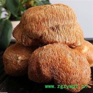 猴头菌 猴头菇正品保证质量7天无理由退货退款 中药材批发 丽丽药业图4