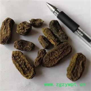 安祁名药猕猴桃根 猕猴桃果图2