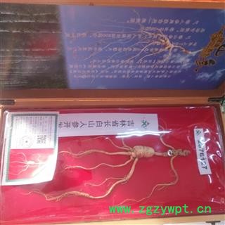 安祁名药优质人参 吉林长白山人参礼品精装盒多种包装任选图4