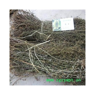 刘寄奴 统 产地 四川省成都市双流县