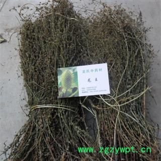 刘寄奴 统 产地 四川省成都市双流县图4