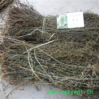 刘寄奴 统 产地 四川省成都市双流县图3