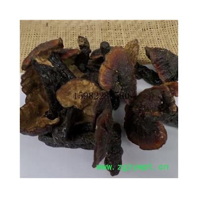 【满298元包邮】野生灵芝 选装 产地 云南省西双版纳