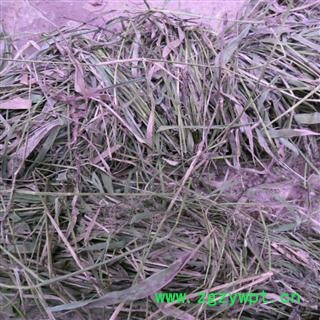 油草 统货 产地 四川省成都市双流县图3