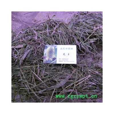 油草 统货 产地 四川省成都市双流县