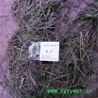 油草 统货 产地 四川省成都市双流县图2