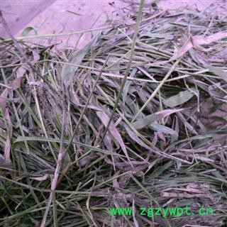 油草 统货 产地 四川省成都市双流县图4