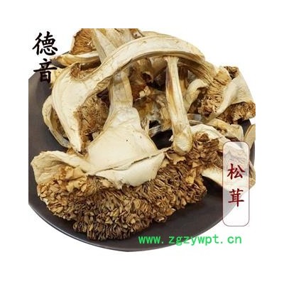 【满包邮】松茸 选 产地 四川省 中药材天门冬批发 规格齐全
