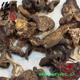 【满包邮】虎掌菌 产地 四川省甘孜 买好货 选德音 正品溯源 规范标准 三证齐全 全品类药材一站购齐图3