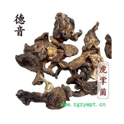 【满包邮】虎掌菌 产地 四川省甘孜 买好货 选德音 正品溯源 规范标准 三证齐全 全品类药材一站购齐