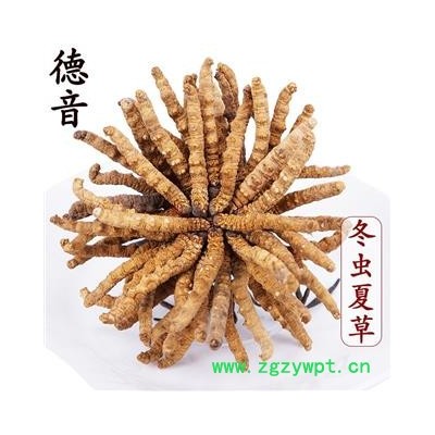 【满包邮】冬虫夏草5条/克 产地西藏那曲 中药材批发 规格齐全