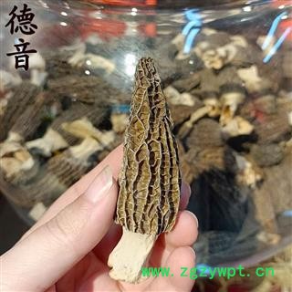 【满包邮】羊肚菌 选货 西藏精品 买好货 选德音 正品溯源 规范标准 三证齐全 全品类药材一站购齐图3