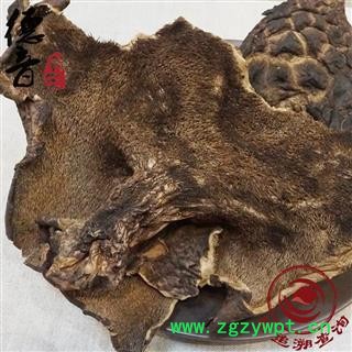 【满包邮】大虎掌菌 选 产地 甘孜 买好货 选德音 正品溯源 规范标准 三证齐全 全品类药材一站购齐图2