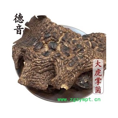 【满包邮】大虎掌菌 选 产地 甘孜 买好货 选德音 正品溯源 规范标准 三证齐全 全品类药材一站购齐
