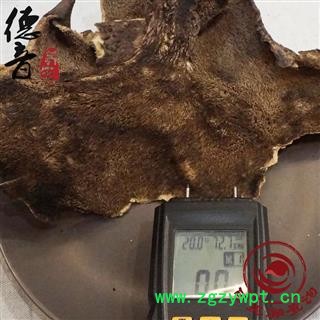 【满包邮】大虎掌菌 选 产地 甘孜 买好货 选德音 正品溯源 规范标准 三证齐全 全品类药材一站购齐图3